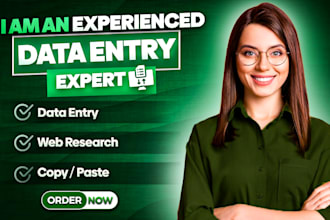 do excel data entry copy paste and web research