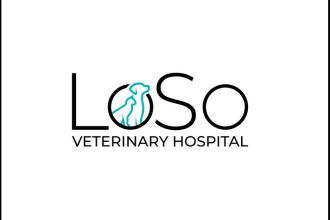 create cat, dog, pet and animal modern logo with express delivery