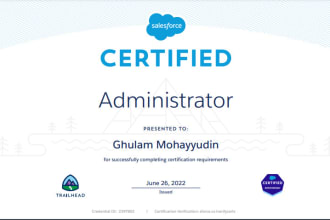 be your saleaforce administrator