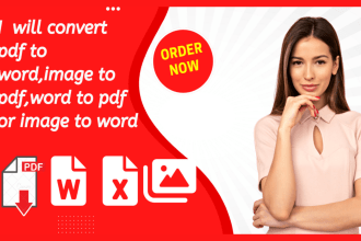 convert pdf, word, image, excel and data enter etc