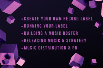help you create and launch an independent record label