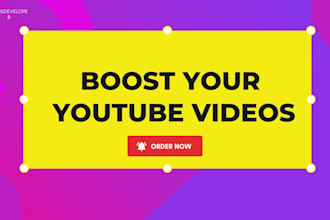 do organic youtube promotion with niche relevant audience