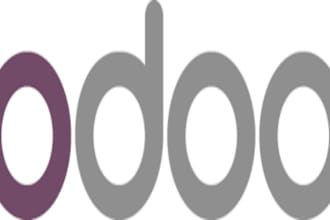 techno functional odoo expert