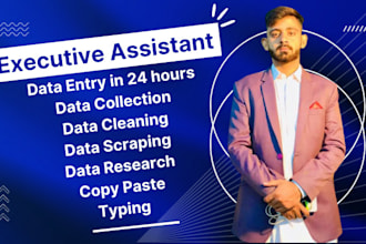 be your executive virtual assistant for the fastest data entry in USA