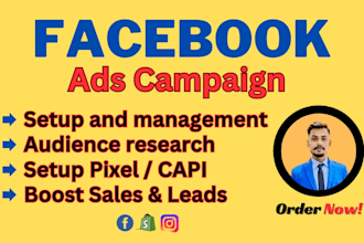 setup and manage facebook and instagram ads campaigns, be fb marketing manager
