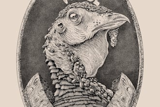 create high detail freehand digital illustration