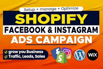 set up facebook ads and instagram ads for leads and sales