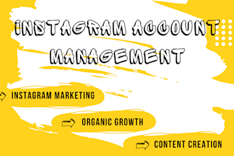 be your instagram content creator and virtual assistant