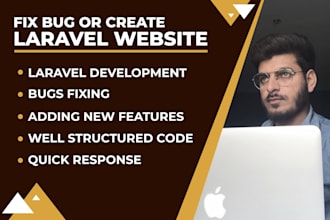 develop or fix bugs, errors, upgrade PHP laravel application