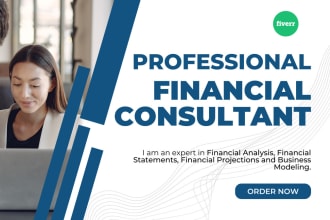 do financial analysis, business valuation, and modeling