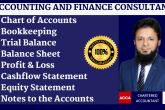 prepare balance sheet, profit and loss, cashflow, equity statement