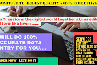 do any data input, data collection and data analysis work