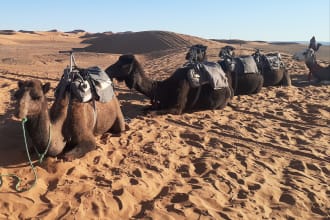 be your travel agent and help you plan your tour in morocco
