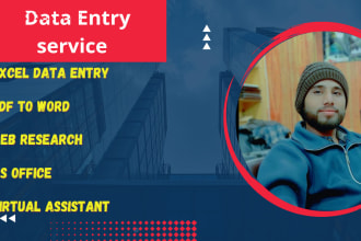 do excel data entry, data cleaning, web research,pdf to word