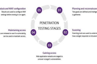 perform security audit penetration testing