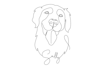 draw single line art portrait of your pet, cat, dog