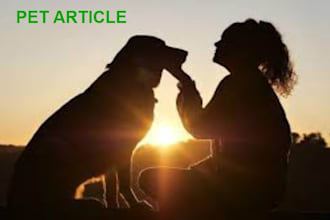 write SEO optimized articles for your pet blog