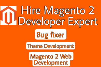 do web development services at frontend and backend on magento