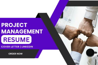 provide project management, manager resume writing