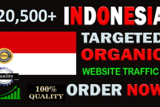 send high quality real indonesia web traffic and visitors