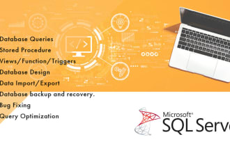 do sql queries, database designing, and assignment