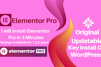 install elementor pro plugin updatable