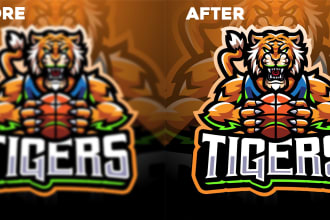 redraw, vectorize your logo, art, sketch within 2 to 6hrs