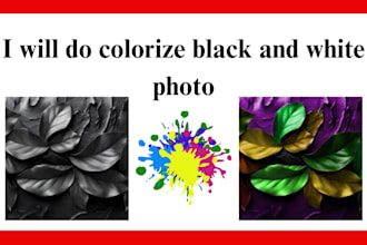 do colorize black and white photo
