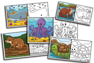 create activity pages and worksheet for kids