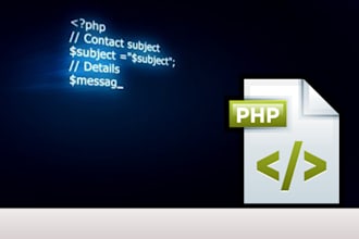 fix laravel PHP bugs and develop custom features