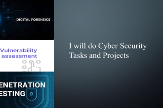 do cybersecurity tasks, digital forensics, pentest, vuln assessments