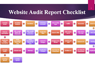 provide a professional SEO audit report and a competitive website analysis