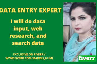 do data input, web research, and search data
