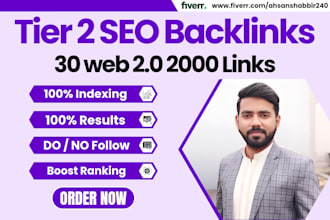do 30 web 2 0 link building, 2000 tier 2 backlinks for SEO with login