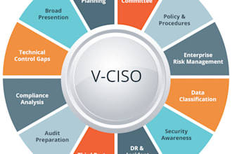 provide an experienced virtual ciso expertise