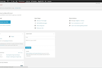 manage your blogs, post and do seo on page