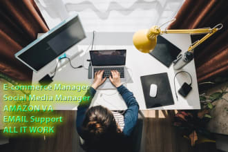 virtual admin assistant store manager amazon, shopify,wix,bigcommerce,3dcart