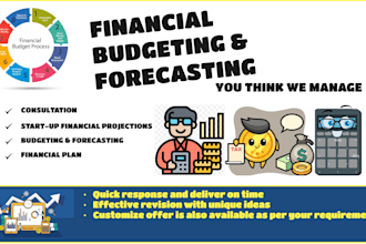perform financial analysis, ratio analysis, and financial modeling