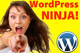 turn You Into a WordPress NINJA