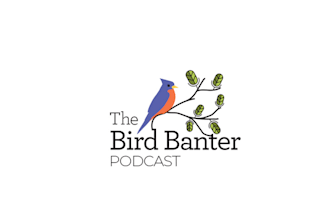 design the bird banter podcast logo