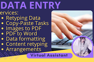 do fast data entry, retype data scanned pages in 24 hours