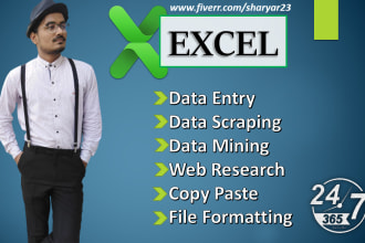 do data extraction and data entry in low price