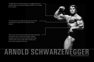 make workout plan to gain muscle and mass