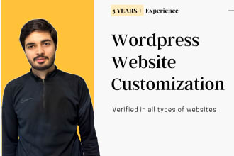 help you in wordpress customization