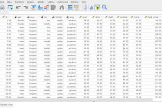 do statistics, projects and reports using spss