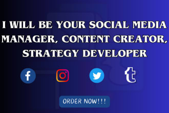 be your social media manager, content creator, strategy developer