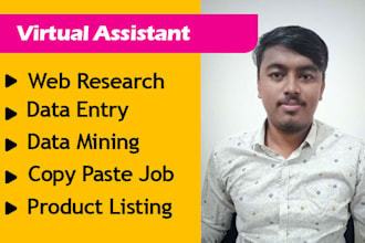 be your virtual assistant for web research, data entry, data mining, copy paste