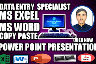 be your expert  data entry VA