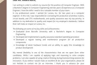 write professional CV and resume