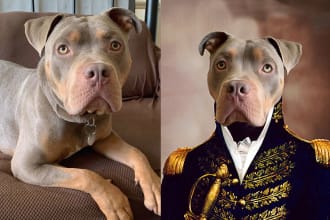 do royal portrait custom pet portrait dog portrait